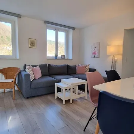 Ferienwohnungen Flussufer - Neckargemuend Altstadt Extérieur photo