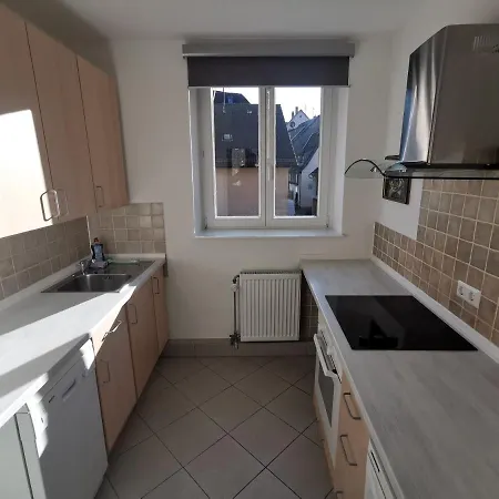 Ferienwohnungen Flussufer - Neckargemuend Altstadt Extérieur photo