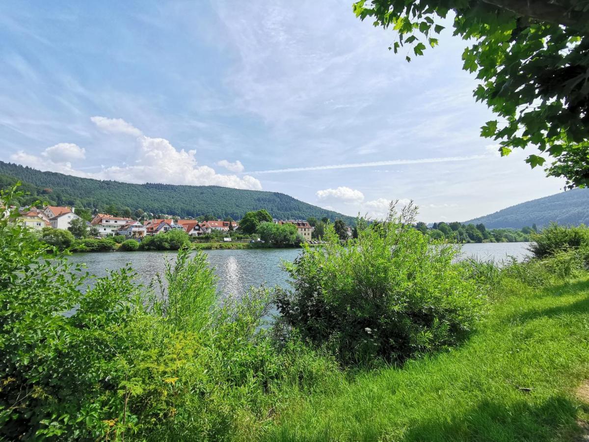 Apartment Flussufer - Altstadt Neckargemund