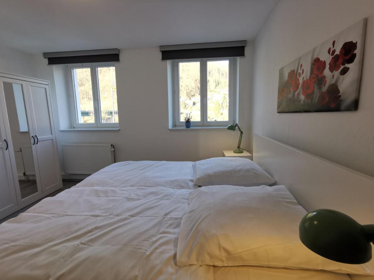 Flussufer - Altstadt Apartment Neckargemund